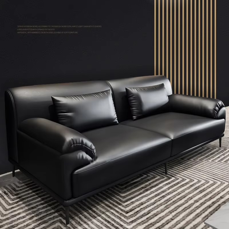 Black leather double sofa