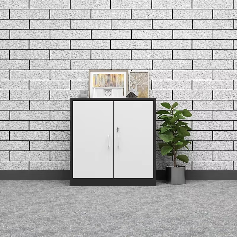 Black and white double-door single cabinet